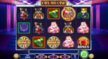 Katzen und Bargeld Online-Spielautomat