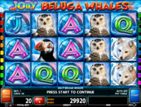 Lustige Belugawale Online-Spielautomat