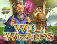 Wilder Zauberer Online-Spielautomat
